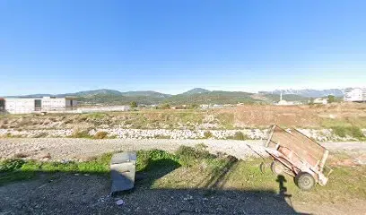 Akdeniz Üniversitesi Tropik Meyve Araştırma ve Uygulama Merkezi Serası - Photo 1