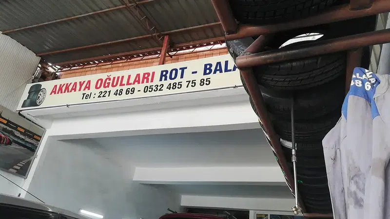Akkaya Oğullar Rot Balans - Photo 5