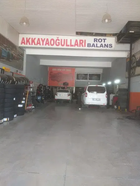 Akkaya Oğullar Rot Balans - Photo 6