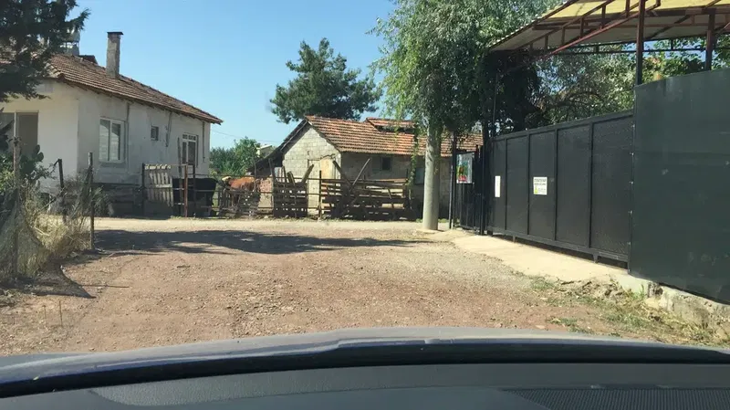 Aksarı Zeytin Bahçesi - Photo 3