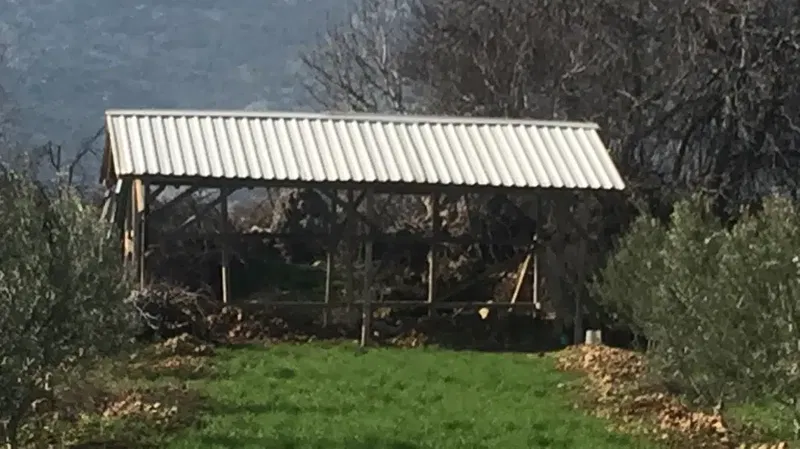 Aksarı Zeytin Bahçesi - Photo 5