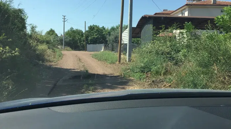 Aksarı Zeytin Bahçesi - Photo 7