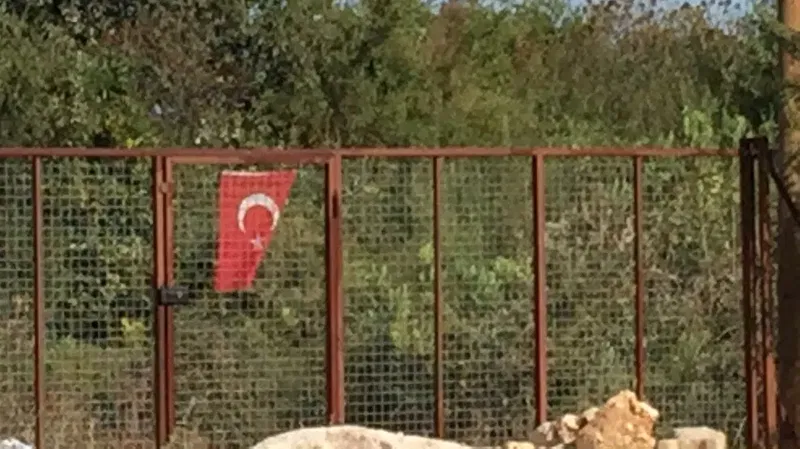 Aksarı Zeytin Bahçesi - Photo 10
