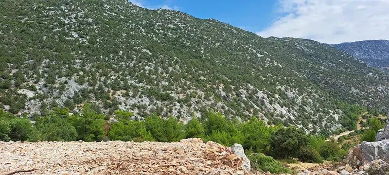 Akseki belediyesi Mustafa duruk mesire yeri - Photo 3