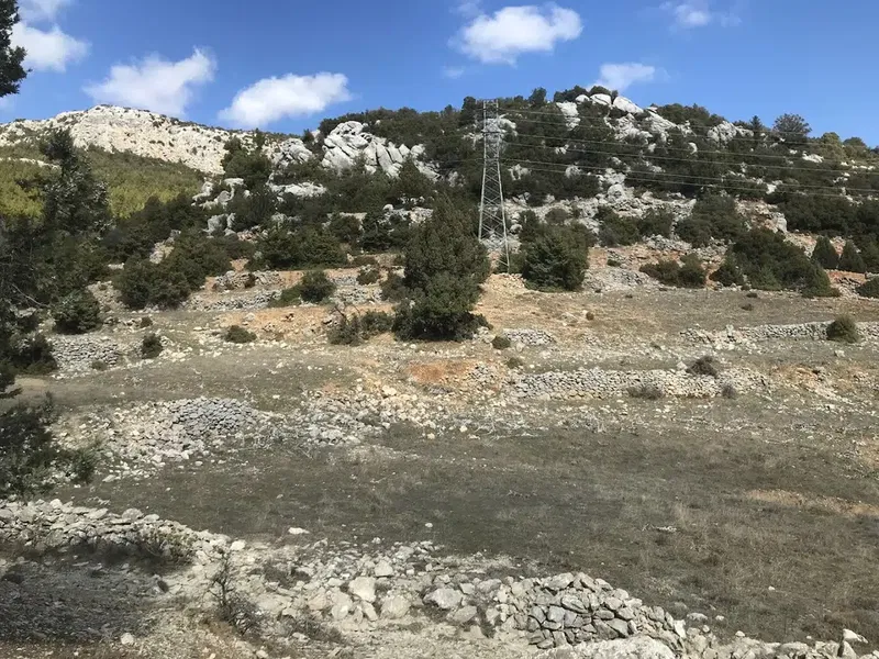 Akseki belediyesi Mustafa duruk mesire yeri - Photo 4