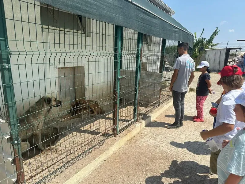 Aksu Belediyesi Veteriner işleri Müdürlüğü - Photo 2