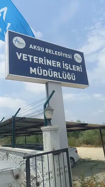 Aksu Belediyesi Veteriner işleri Müdürlüğü - Photo 4