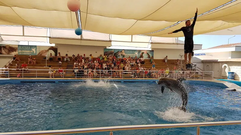 Aksu Dolphinarium - Photo 6