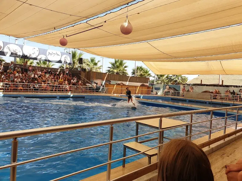 Aksu Dolphinarium - Photo 7