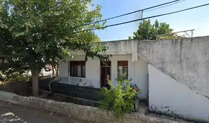 Akvaryum Bitki Tesisi Aquainturkey