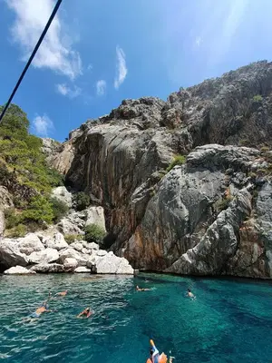 Akvaryum Koyu