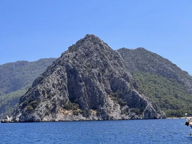 Akvaryum Koyu - Photo 5