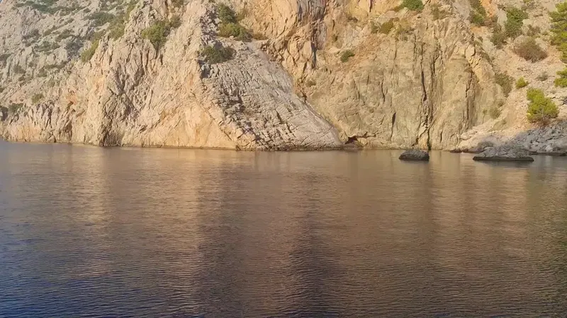 Akvaryum Koyu - Photo 8