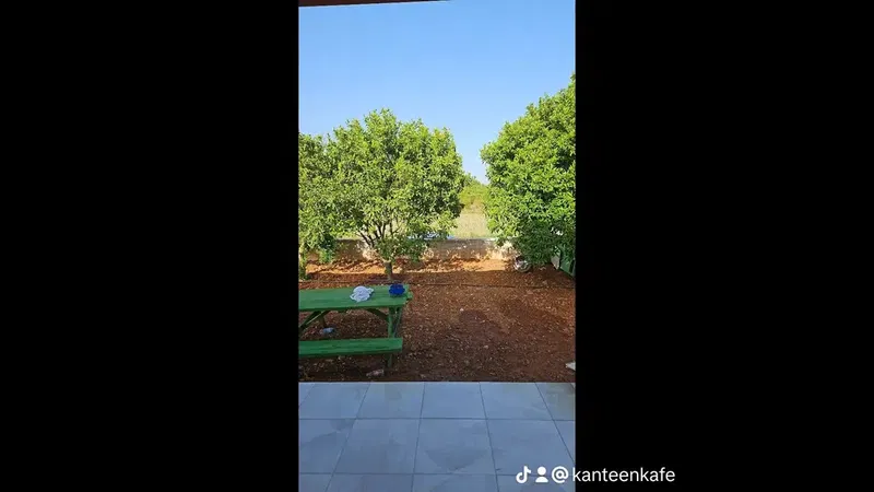 Akçaalan Kırkmuvar Yaylası - Photo 7