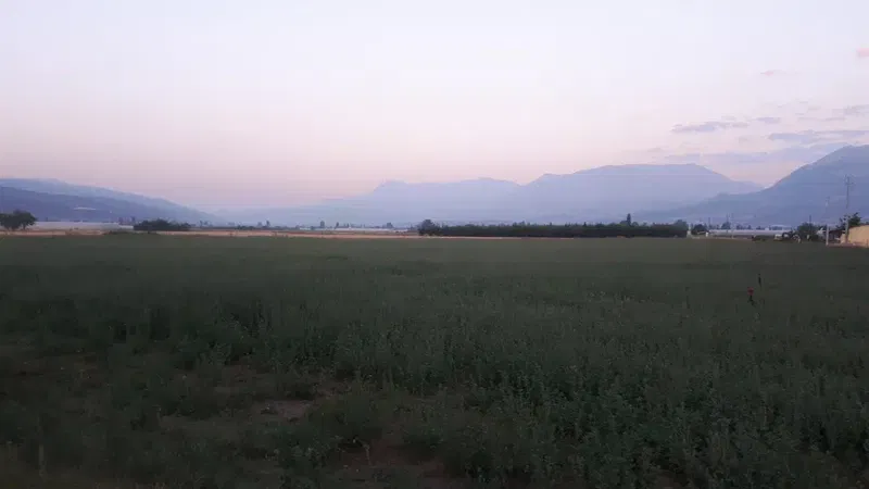 Akçay Pide Salonu - Photo 7