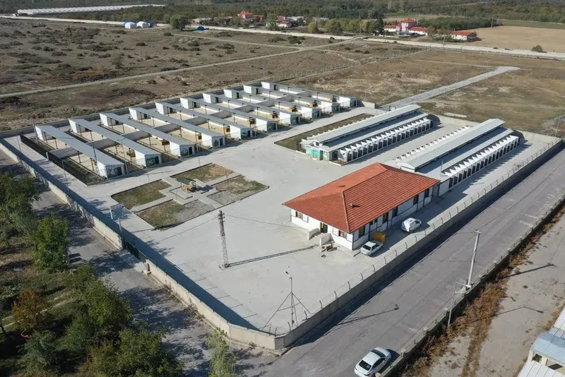 Akşehir Belediyesi Sahipsiz Hayvan Bakımevi ve Rehabilitasyon Merkezi - Photo 1