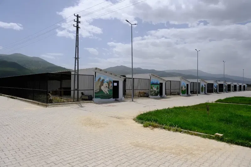 Akşehir Belediyesi Sahipsiz Hayvan Bakımevi ve Rehabilitasyon Merkezi - Photo 2