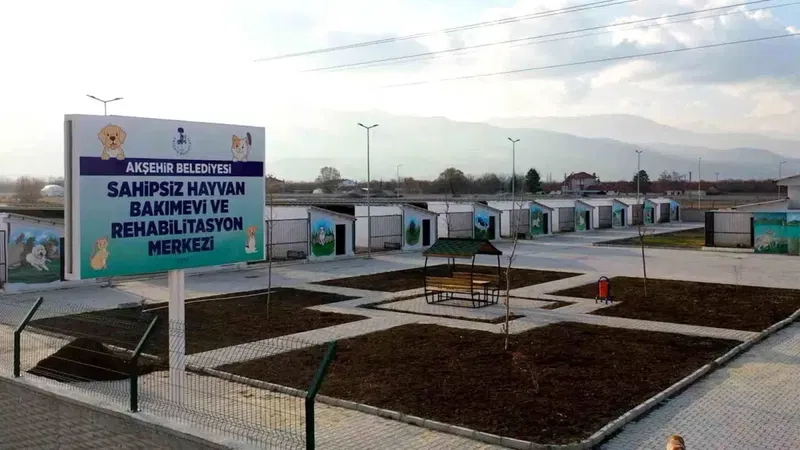 Akşehir Belediyesi Sahipsiz Hayvan Bakımevi ve Rehabilitasyon Merkezi - Photo 10