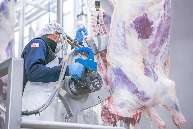 Akşener Agriculture Meat Integrated Plant - Photo 6