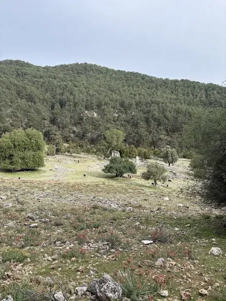 Ala Ki̇li̇se - Photo 3