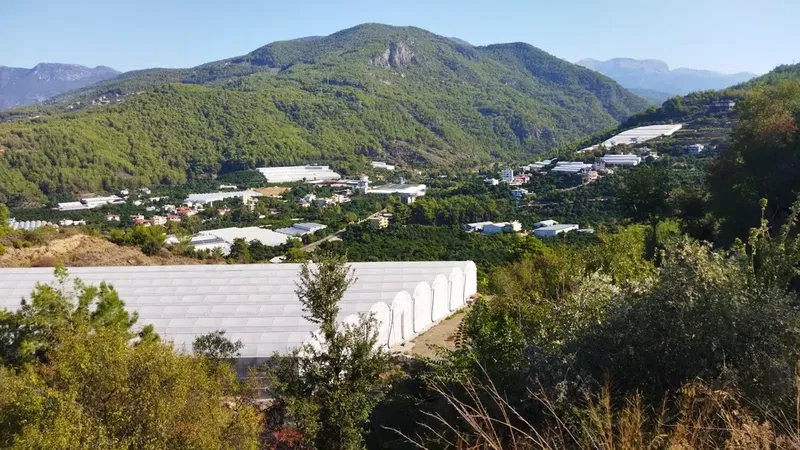 Alanya Alaaddin Keykubat University School of Business - Photo 3