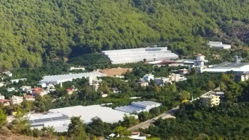 Alanya Alaaddin Keykubat University School of Business - Photo 10