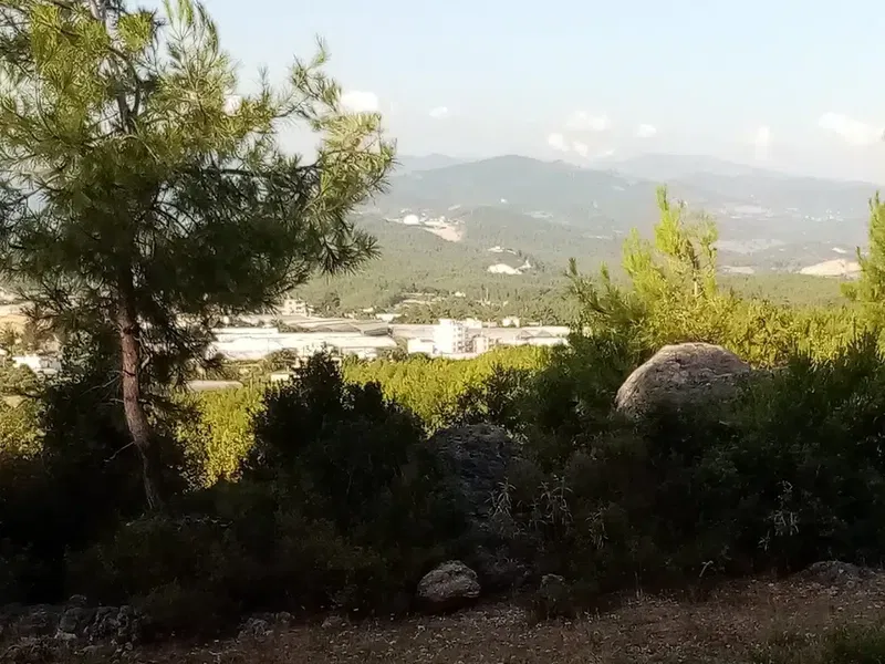 Alanya Belediyesi Bilaller Mesire Alanı - Photo 7