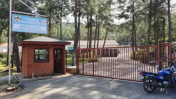 Alanya Beledi̇yesi̇ Demi̇rtaş Hayvan Barinaği
