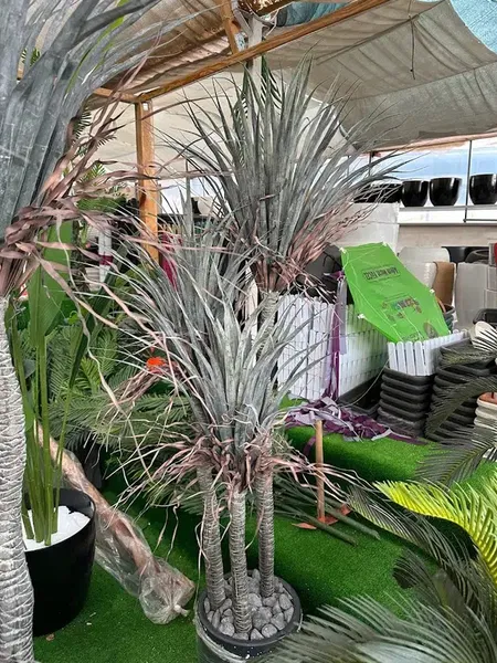 Alanya Botani̇k Peyzaj Ve Çi̇çek - Photo 9