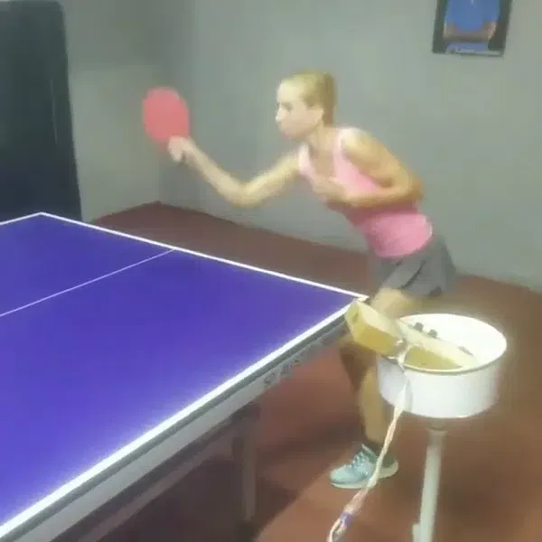 Alanya Geleneksel Okçuluk Spor Kulübü & Ahitürk Kültür ve Sanat Merkezi - Photo 4