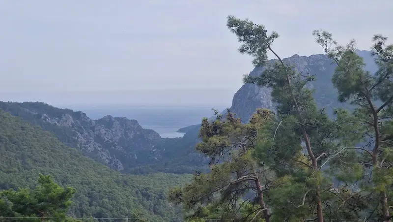 Alasini Mevki - Photo 1
