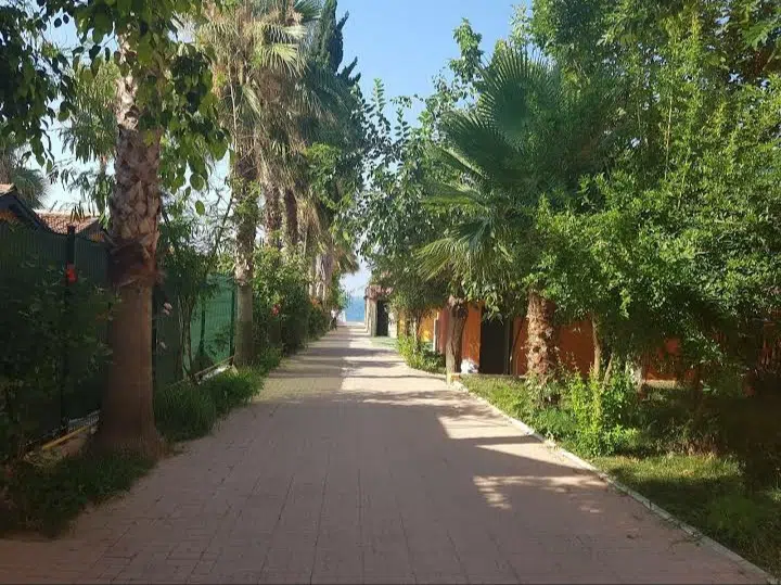 Albatros Beach Hotel - Photo 4