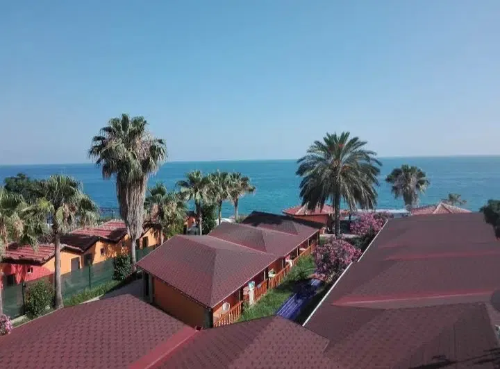 Albatros Beach Hotel - Photo 9