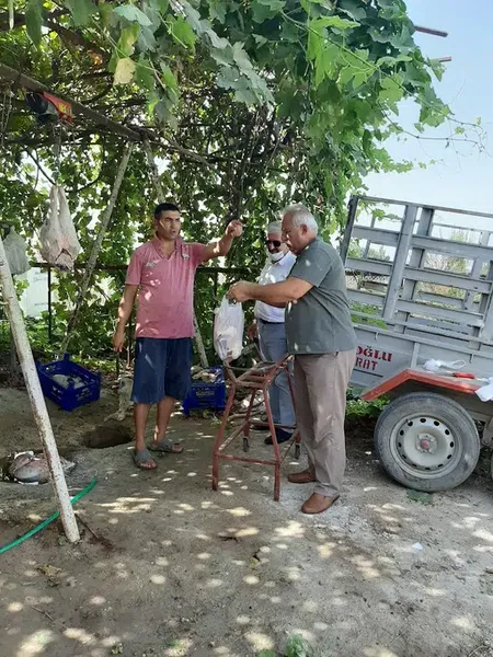 ALBAYRAK Adaklık kurbanlık - Photo 2