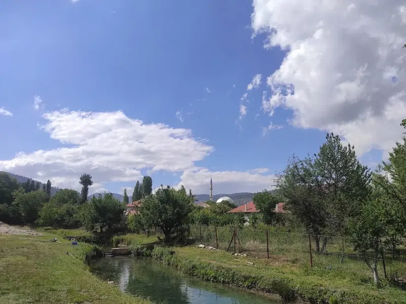 Aldemir Alabalık - Photo 1