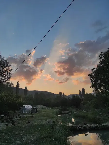 Aldemir Alabalık - Photo 2