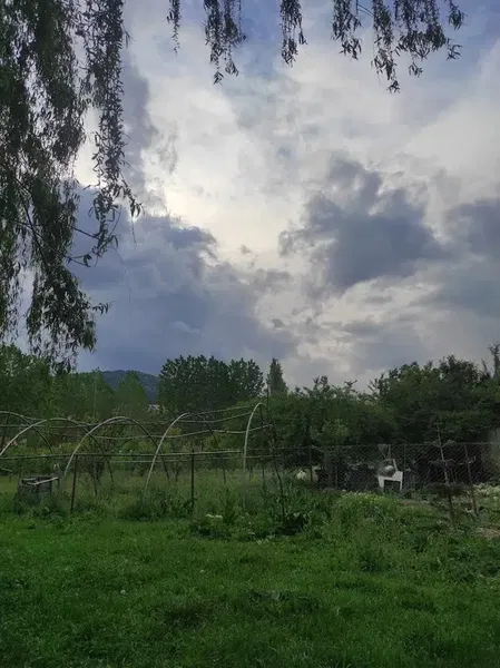 Aldemir Alabalık - Photo 3