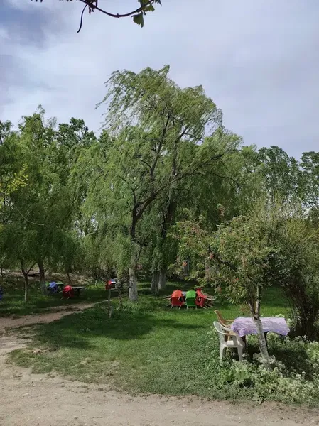 Aldemir Alabalık - Photo 4