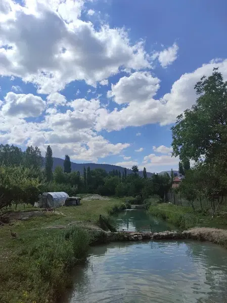 Aldemir Alabalık - Photo 6