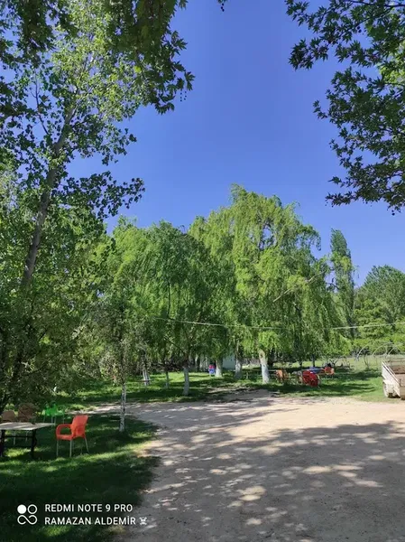 Aldemir Alabalık - Photo 7