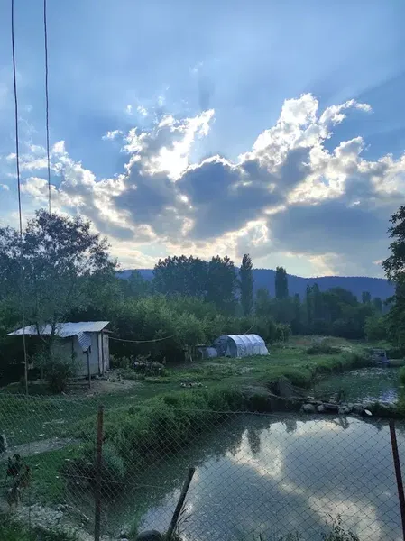 Aldemir Alabalık - Photo 8