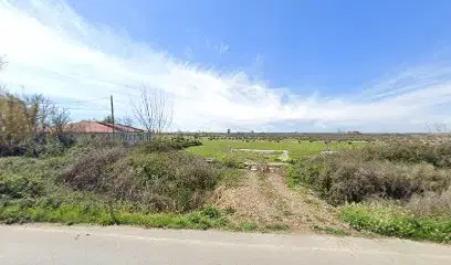 Aldemir tarım arazileri