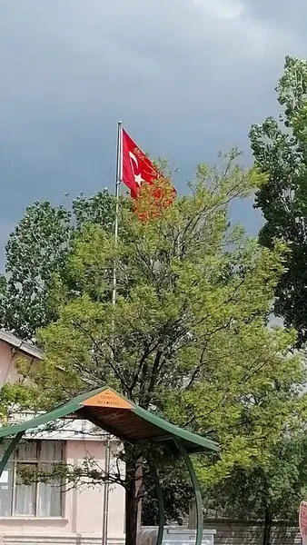 Alemdar Koyu Muhtarligi - Photo 2