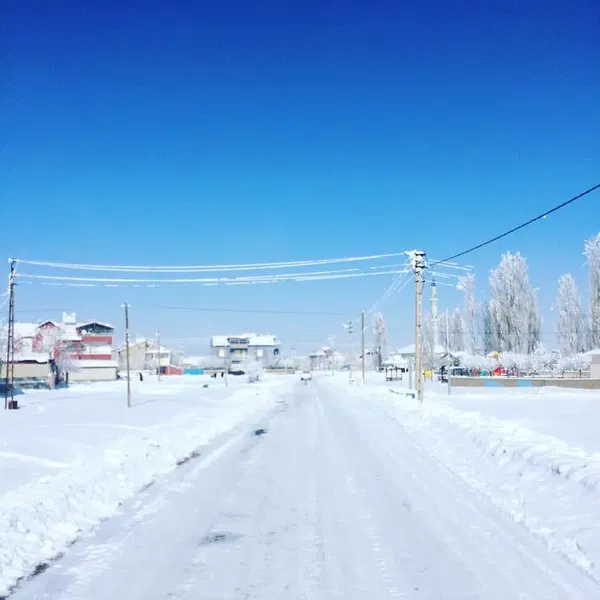 Alemdar Koyu Muhtarligi - Photo 8