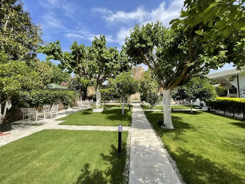 Alican Pansiyon & Çıralı Pansiyonları & чиралы & чирали & пансйонат & отель - Photo 6