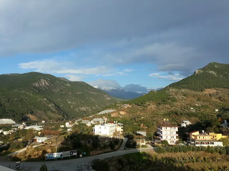 ALKÜ Tıp Fakültesi - Photo 3