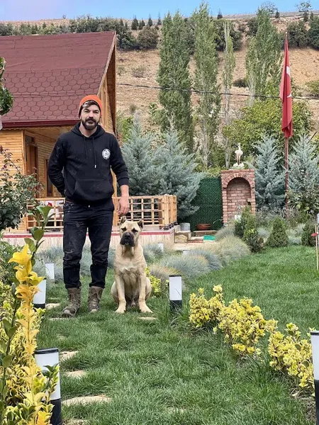 Alpha Dog Club-Bilal Demirok - Photo 3