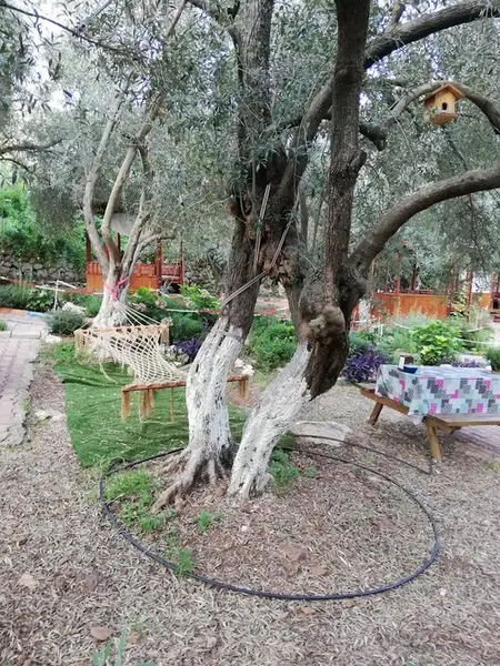 Alpstar Restaurant & Camping - Photo 6
