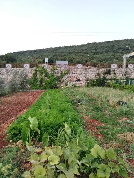 Alpstar Restaurant & Camping - Photo 10