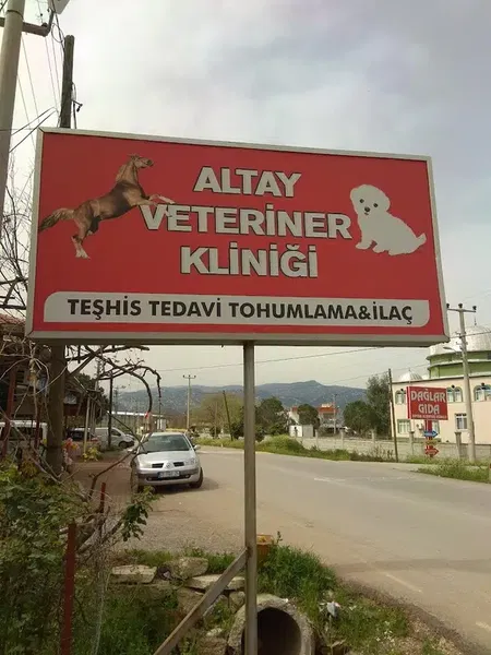 Altay Veteriner Kliniği - Photo 2